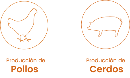 Bioseguridad Pollos y cerdos